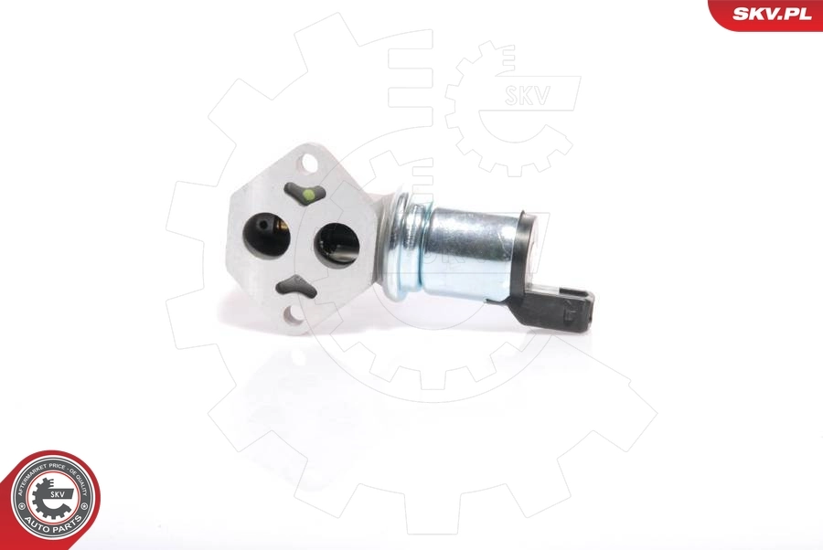 Idle Control Valve, air supply